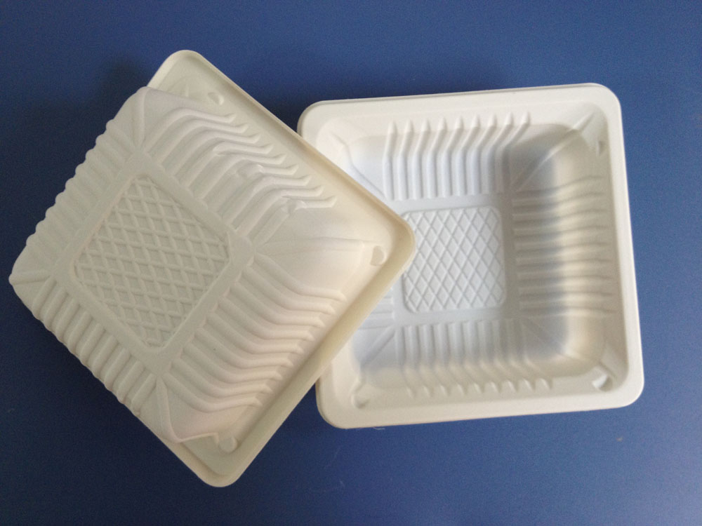 Biodegradable Food Container